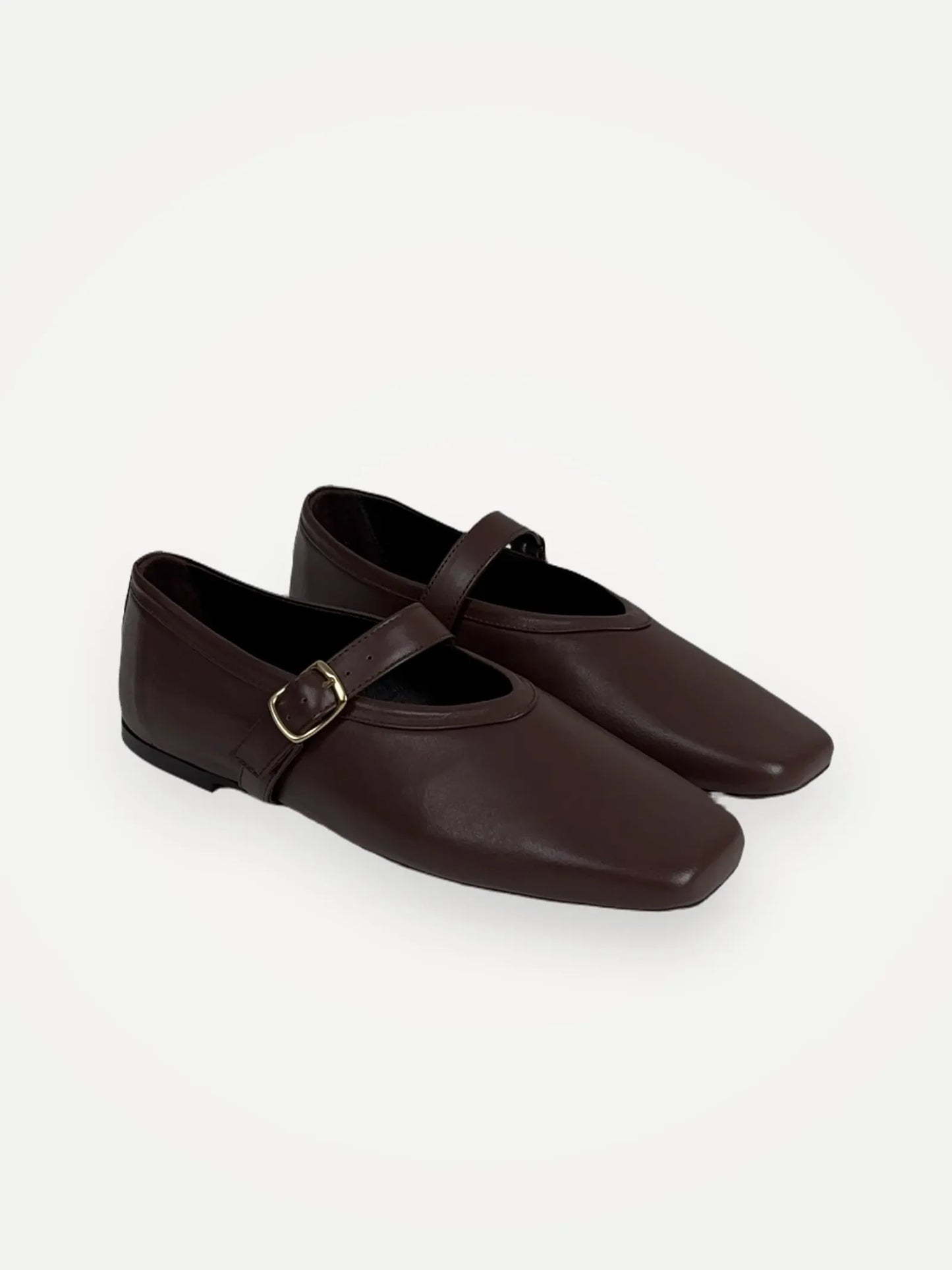 Blankens Delphine-skinnballerinaskor NWT