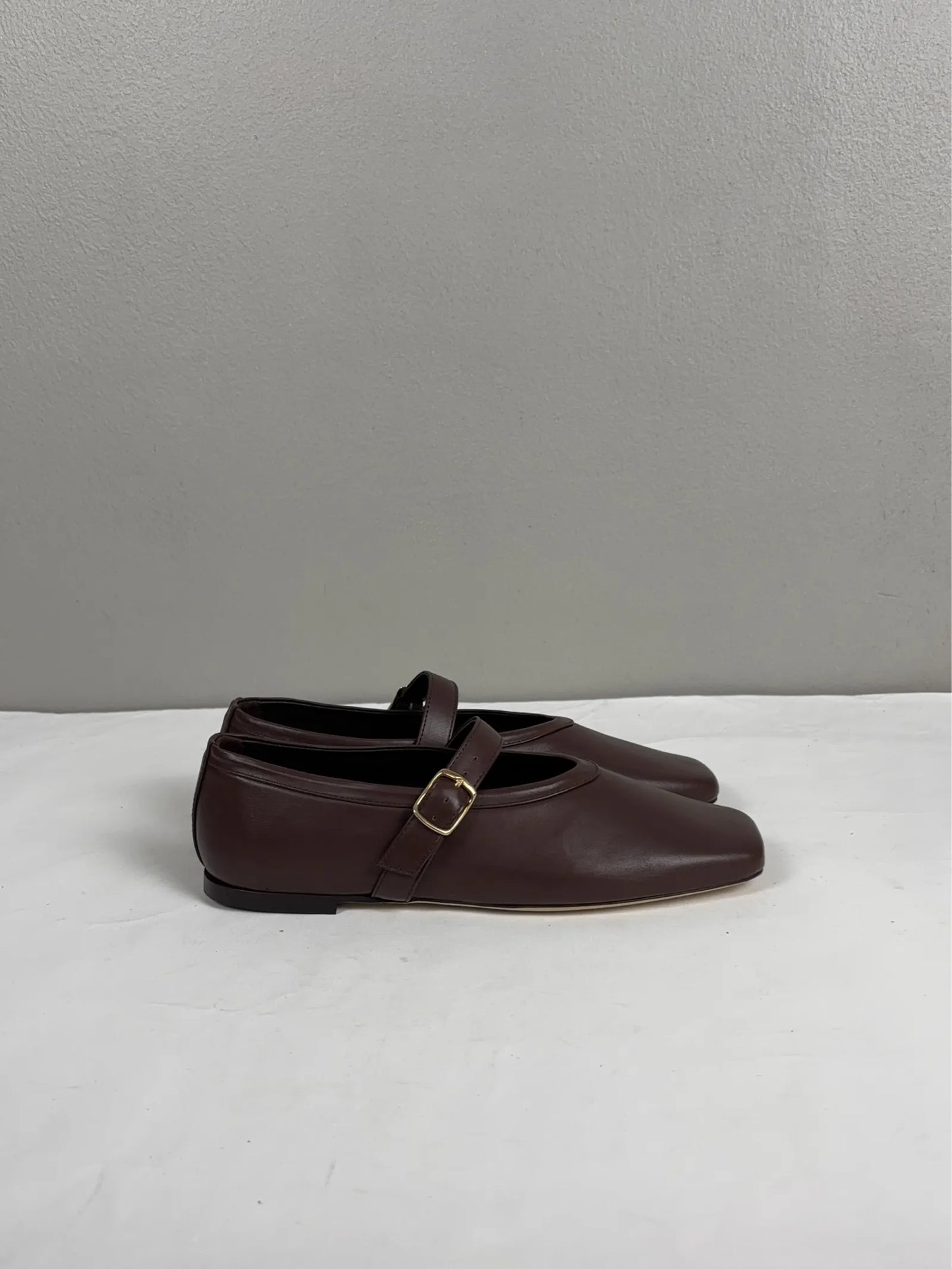 Blankens Delphine-skinnballerinaskor NWT