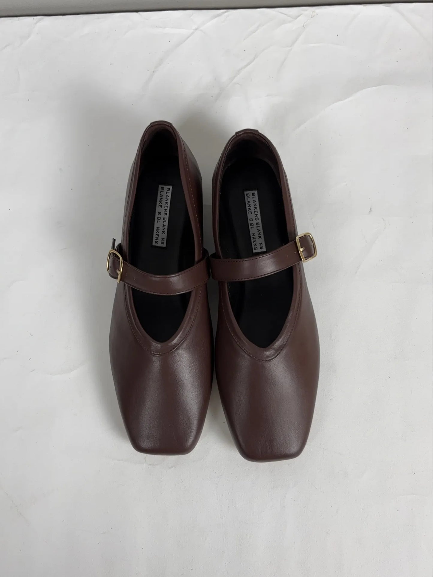 Blankens Delphine-skinnballerinaskor NWT