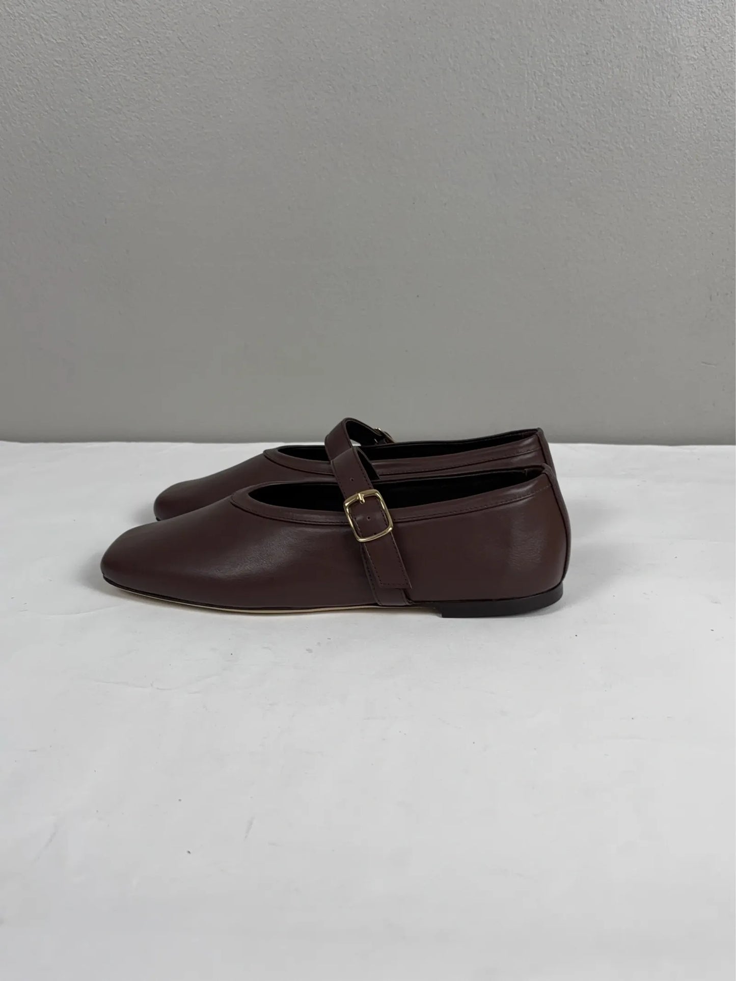 Blankens Delphine-skinnballerinaskor NWT