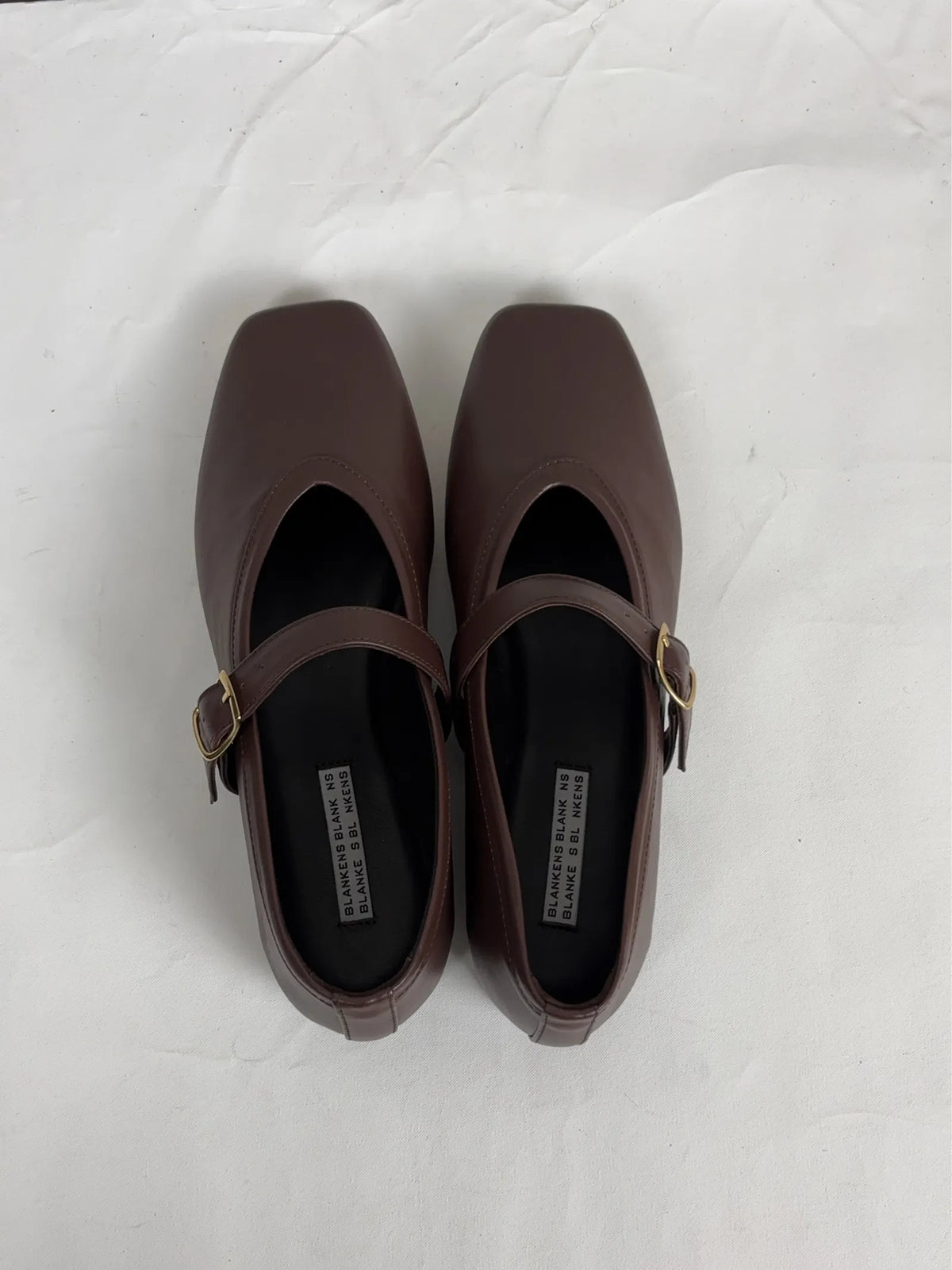 Blankens Delphine-skinnballerinaskor NWT