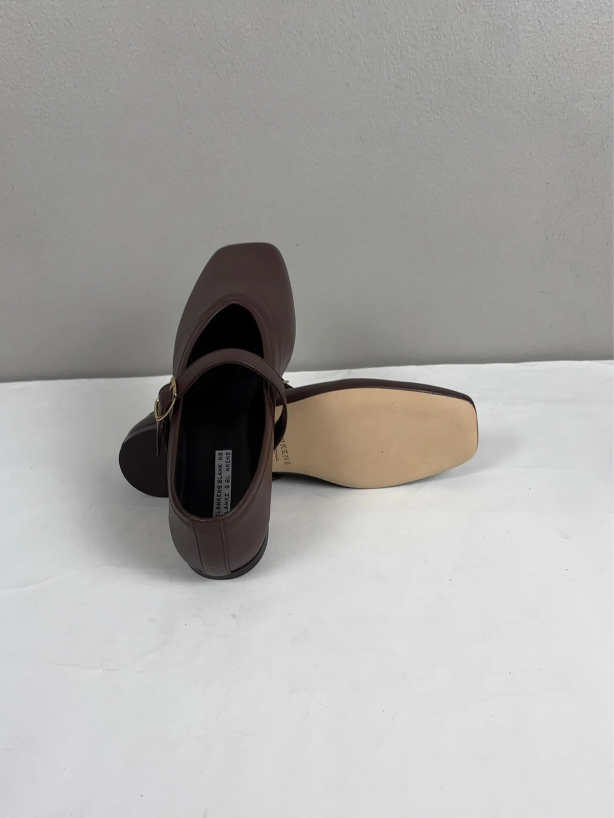 Blankens Delphine-skinnballerinaskor NWT