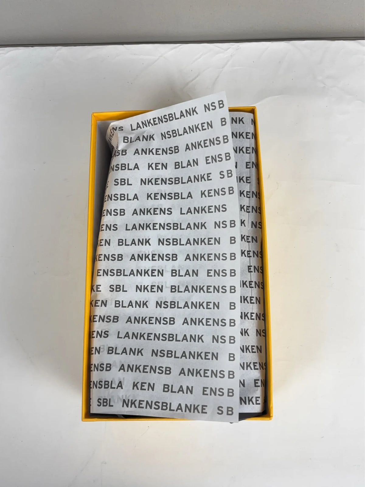 Blankens Delphine-skinnballerinaskor NWT