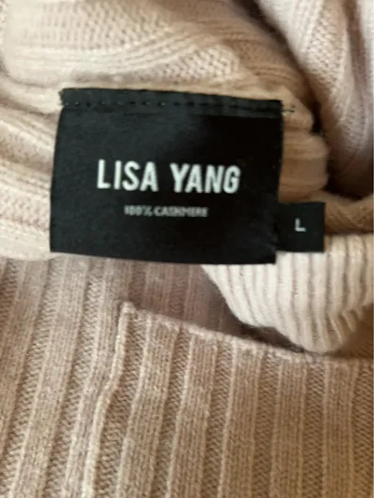 Lisa Yang-kashmirkjol
