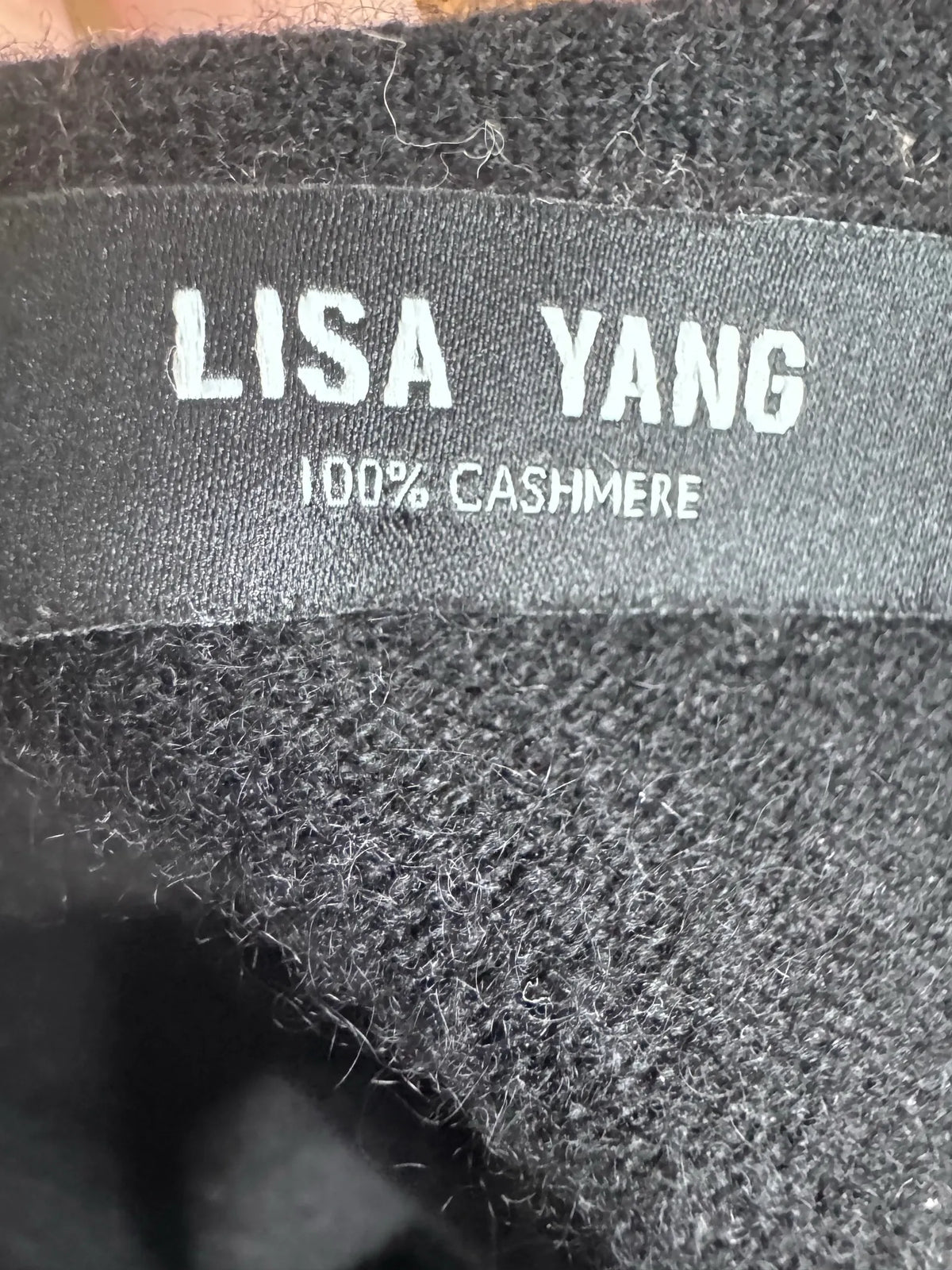Lisa Yang-kashmirkofta