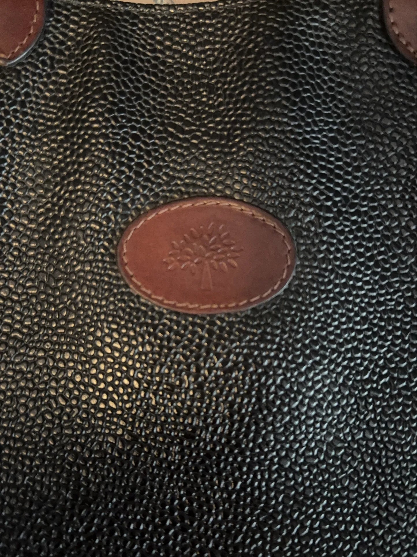 Mulberry-skinnaxelremsväska