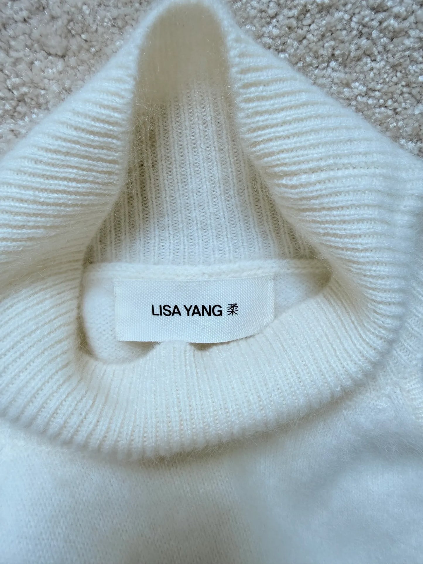 Lisa Yang Leya-kashmirtopp NWOT