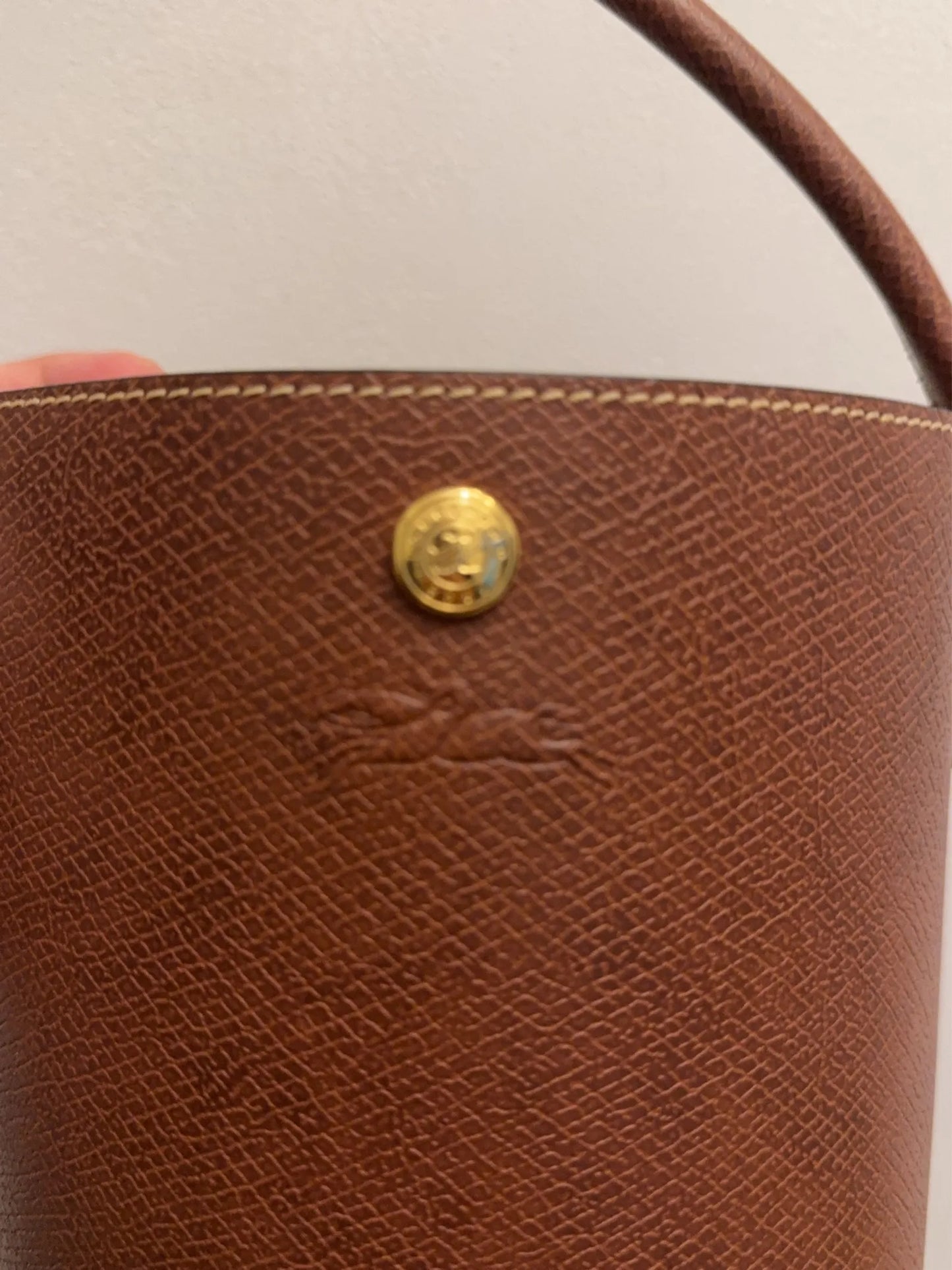 Longchamp-skinnhandväska