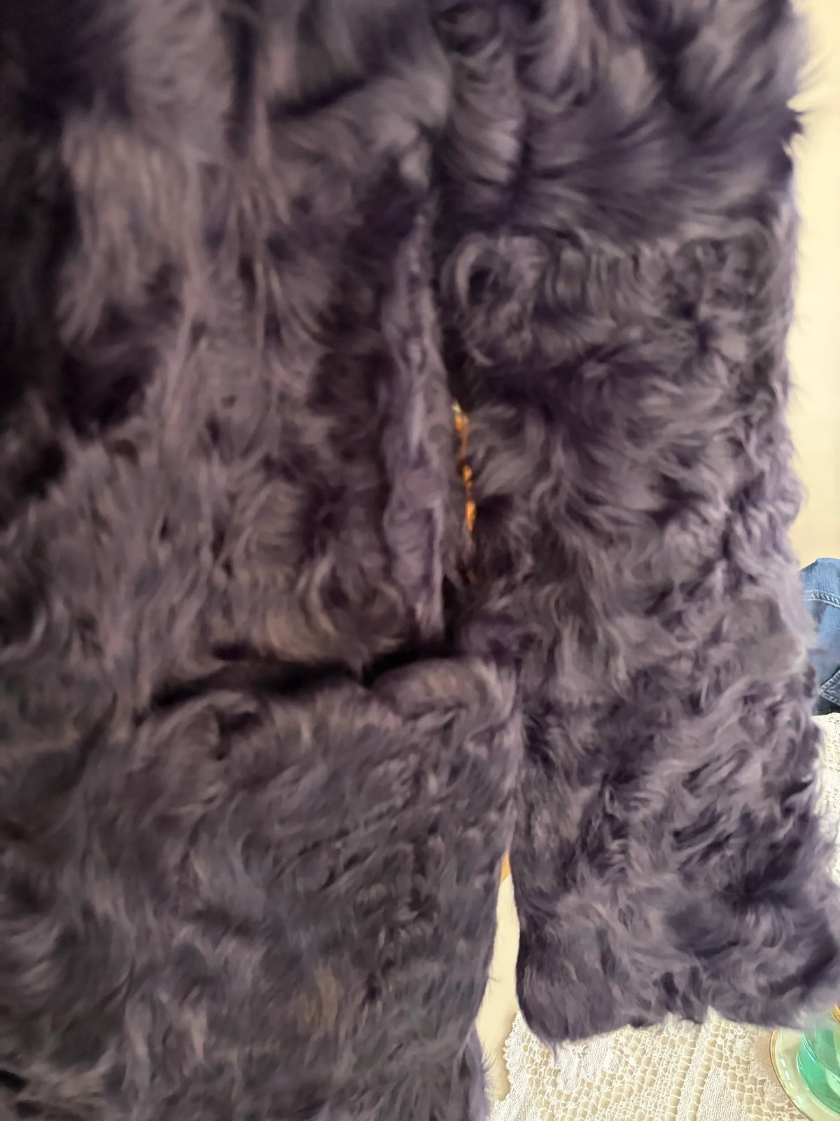 Stand Studio Chloe Fur jacket