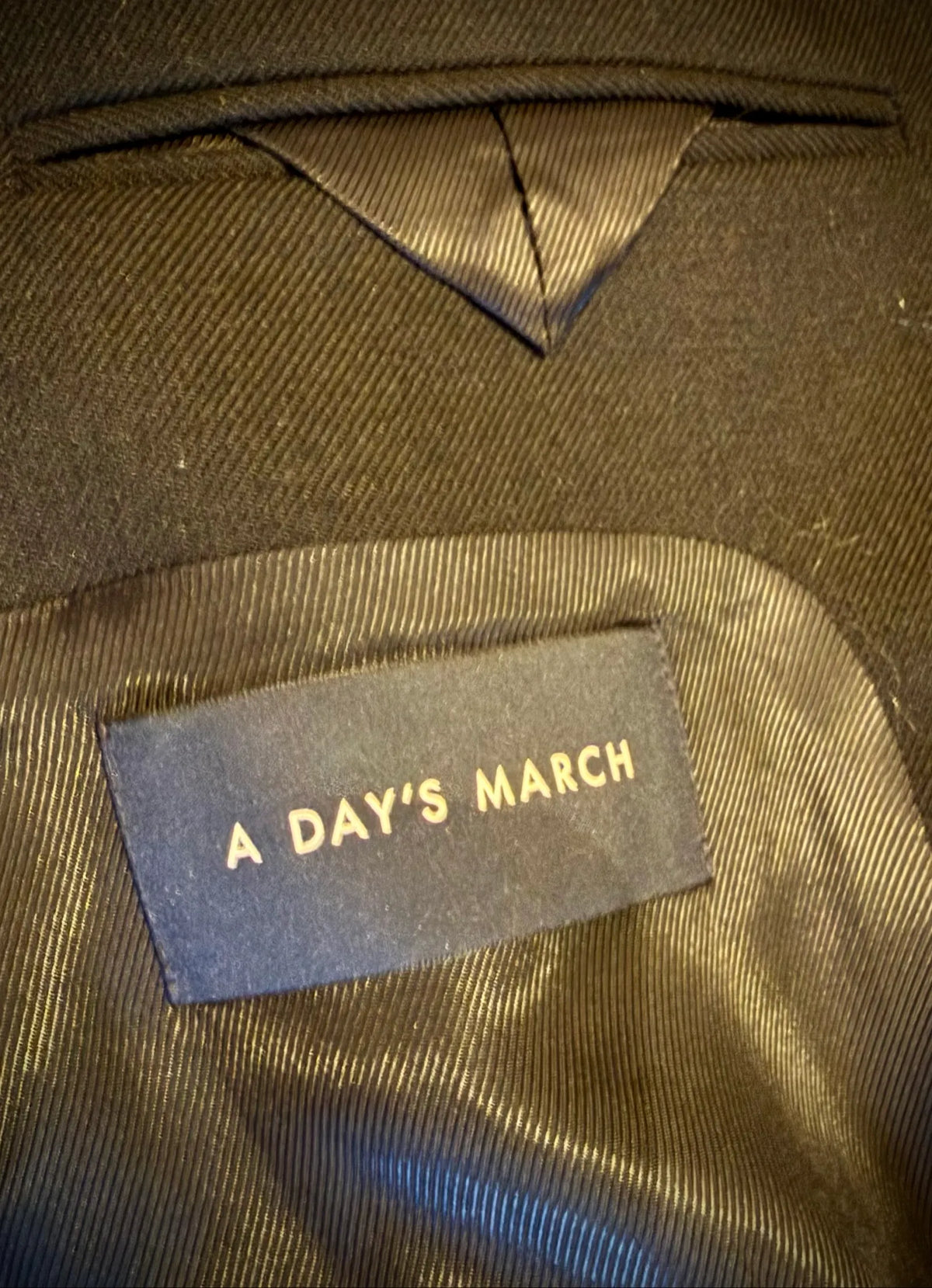 A Day's March Rajni-kappa