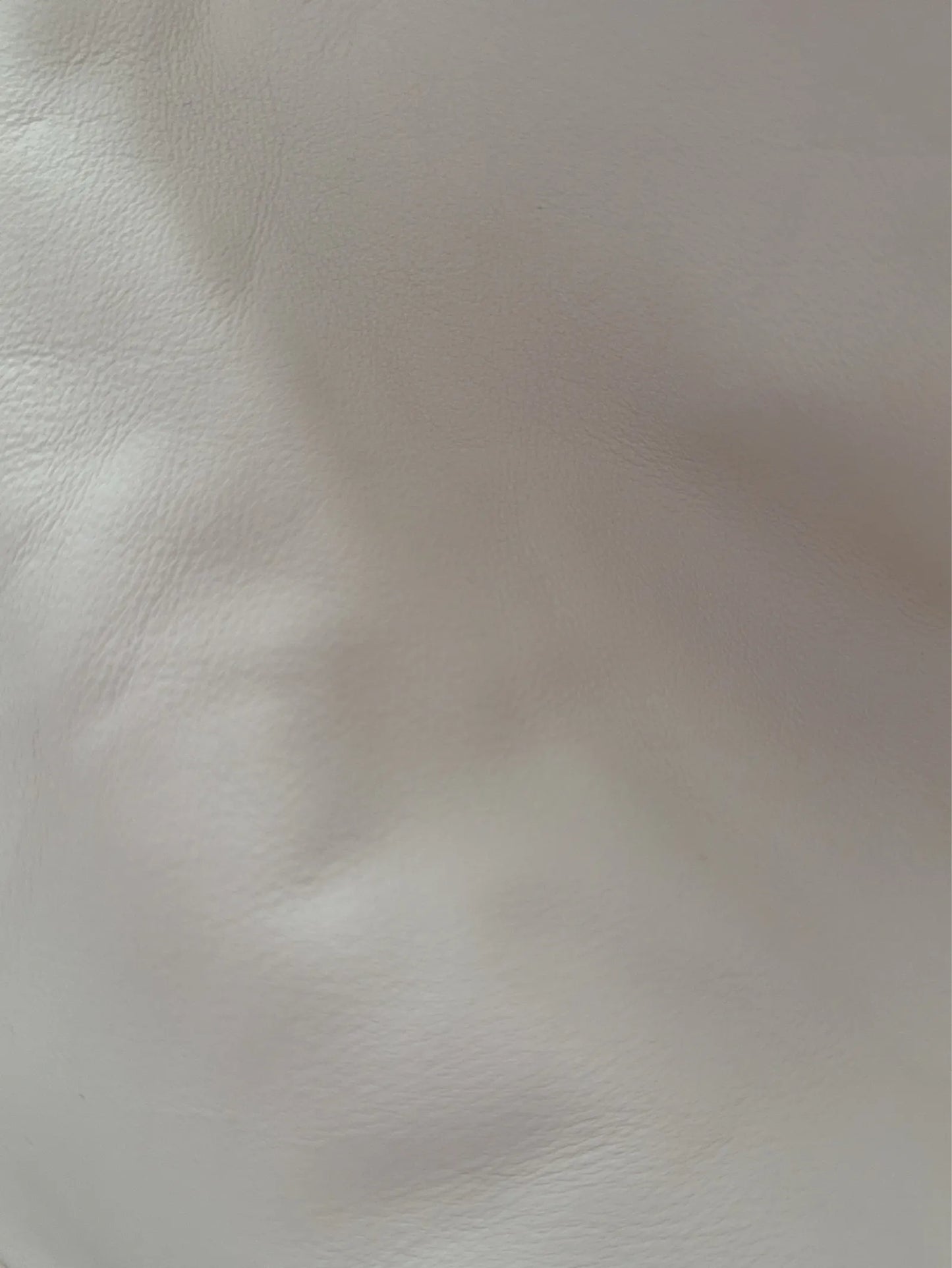 Sequoia-skinnhandväska NWOT