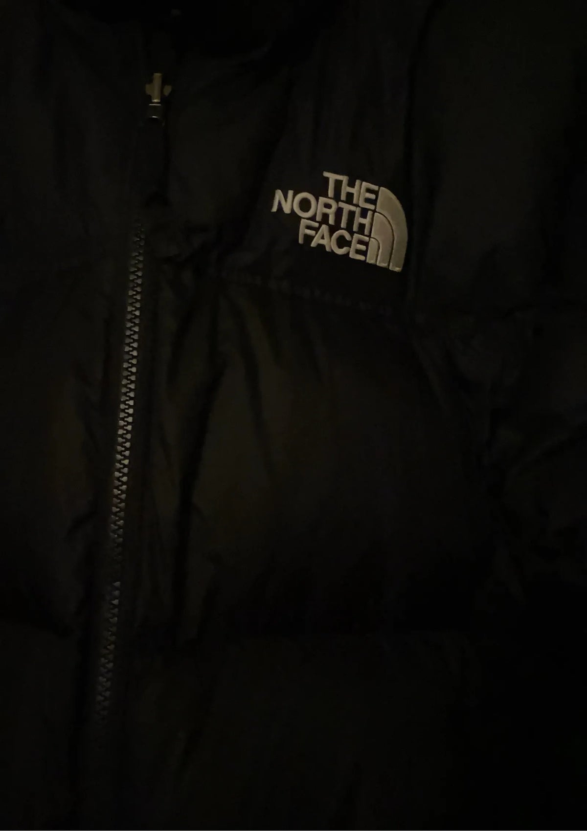 The North Face 700-dunjacka