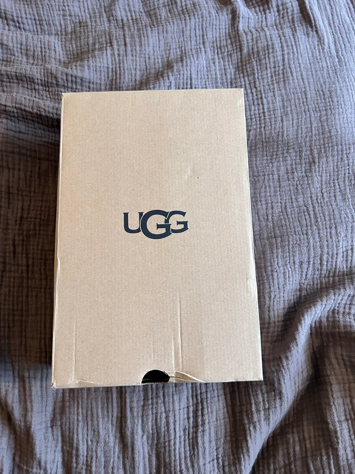 Ugg W Tazz Ii Shoes