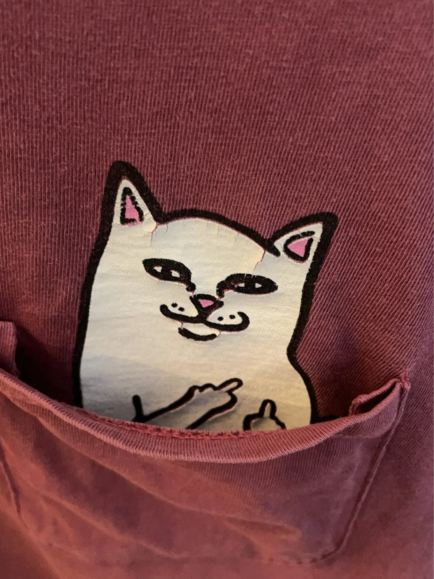 Rip N Dip-t-shirt