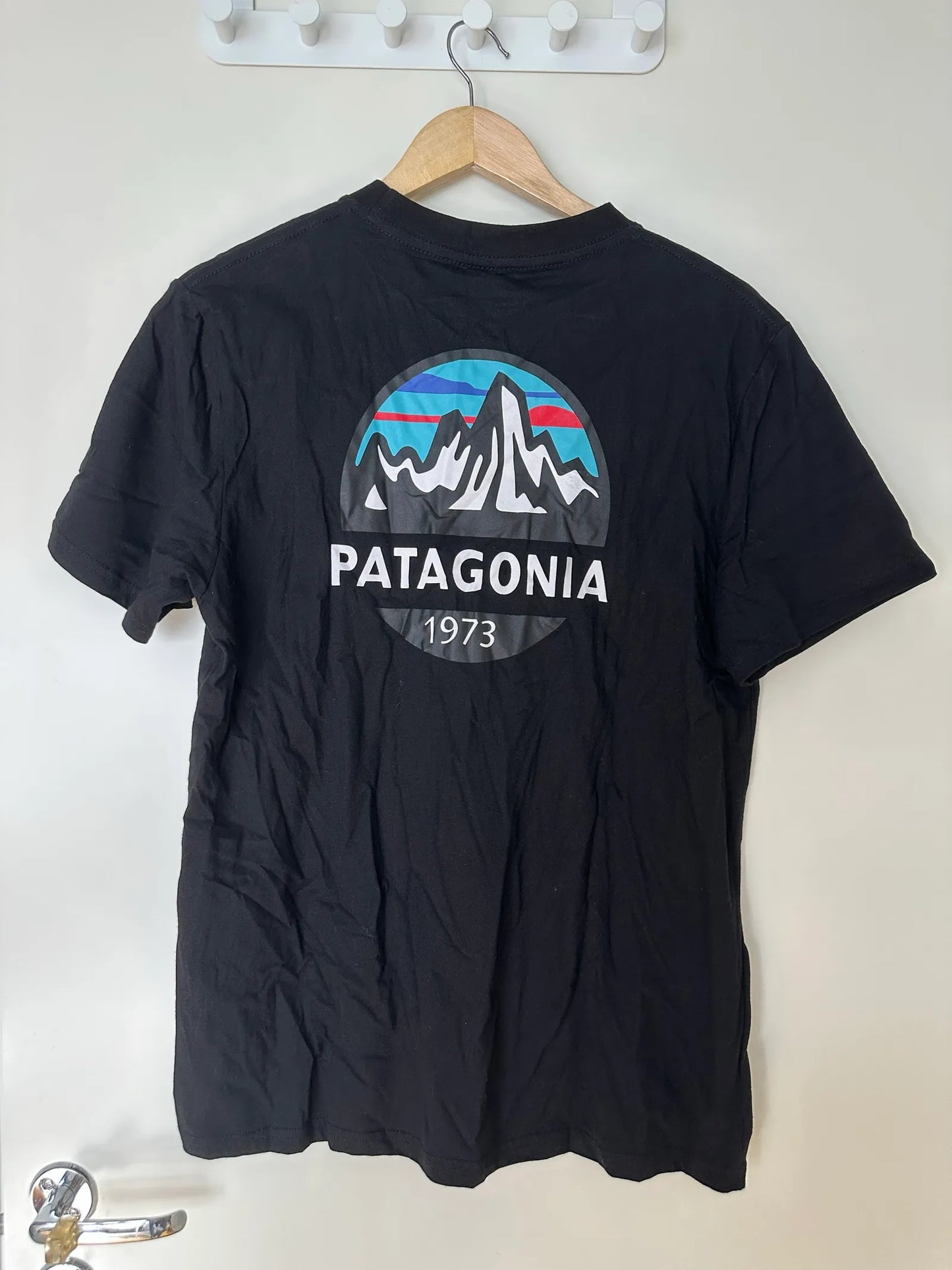 Patagonia T-shirt