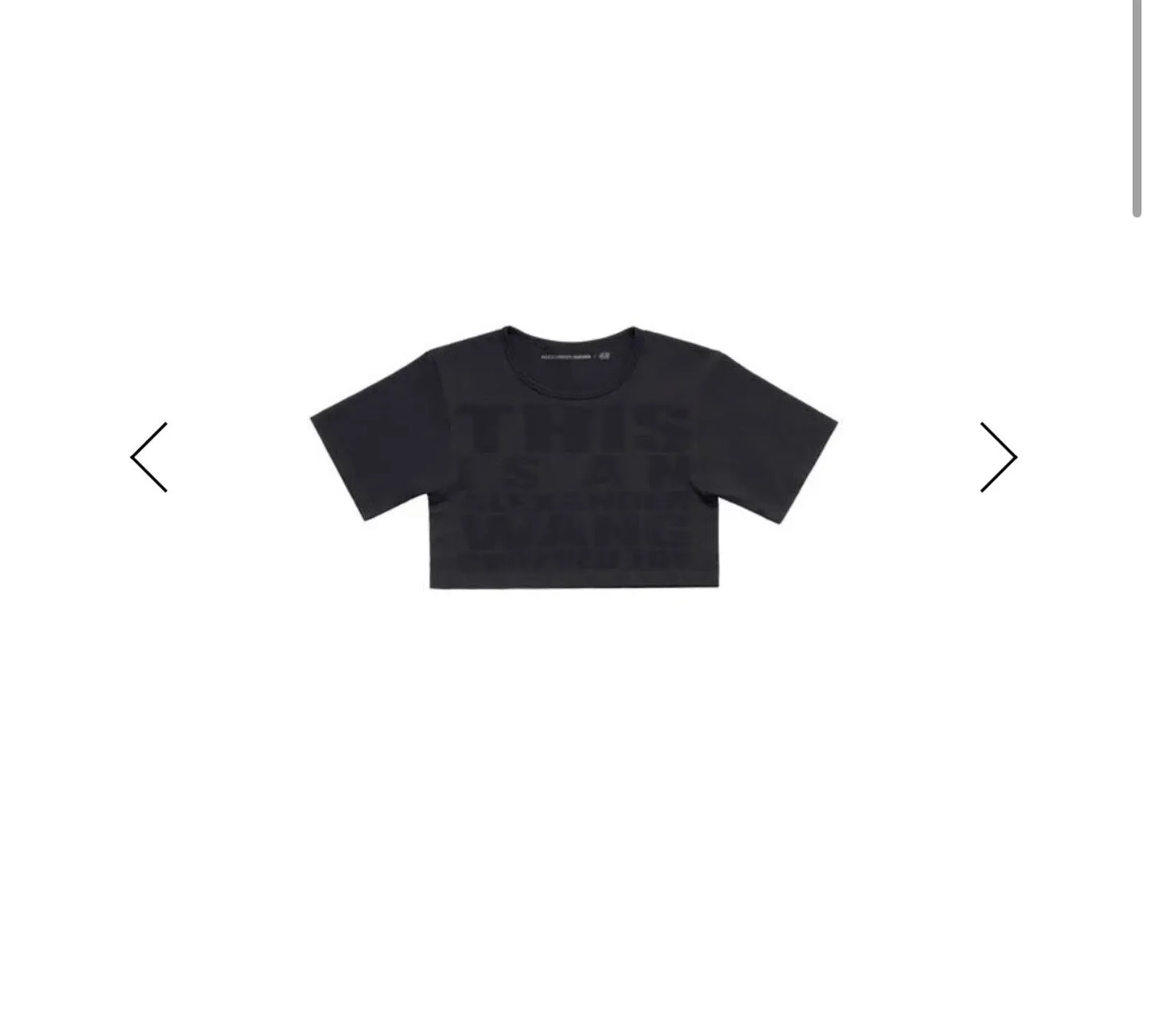 Alexander Wang-t-shirt